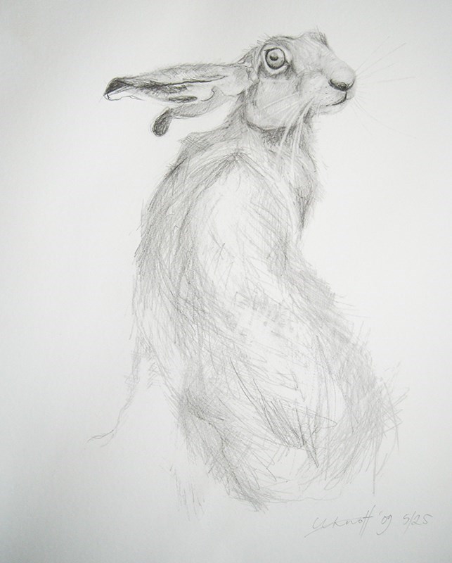 Hare