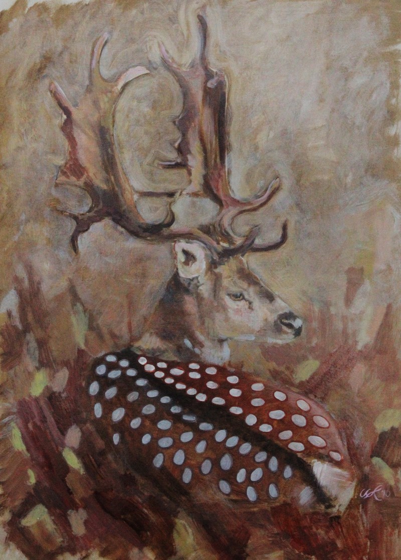 Fallow Deer