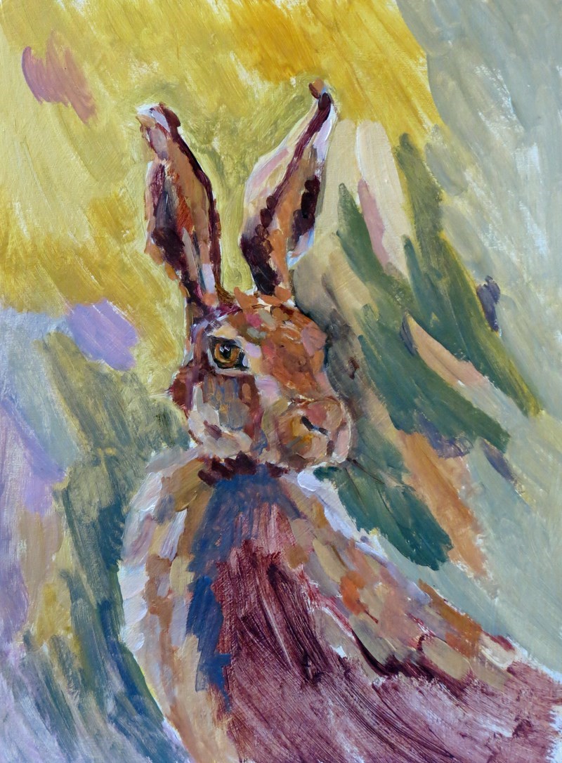 Hare